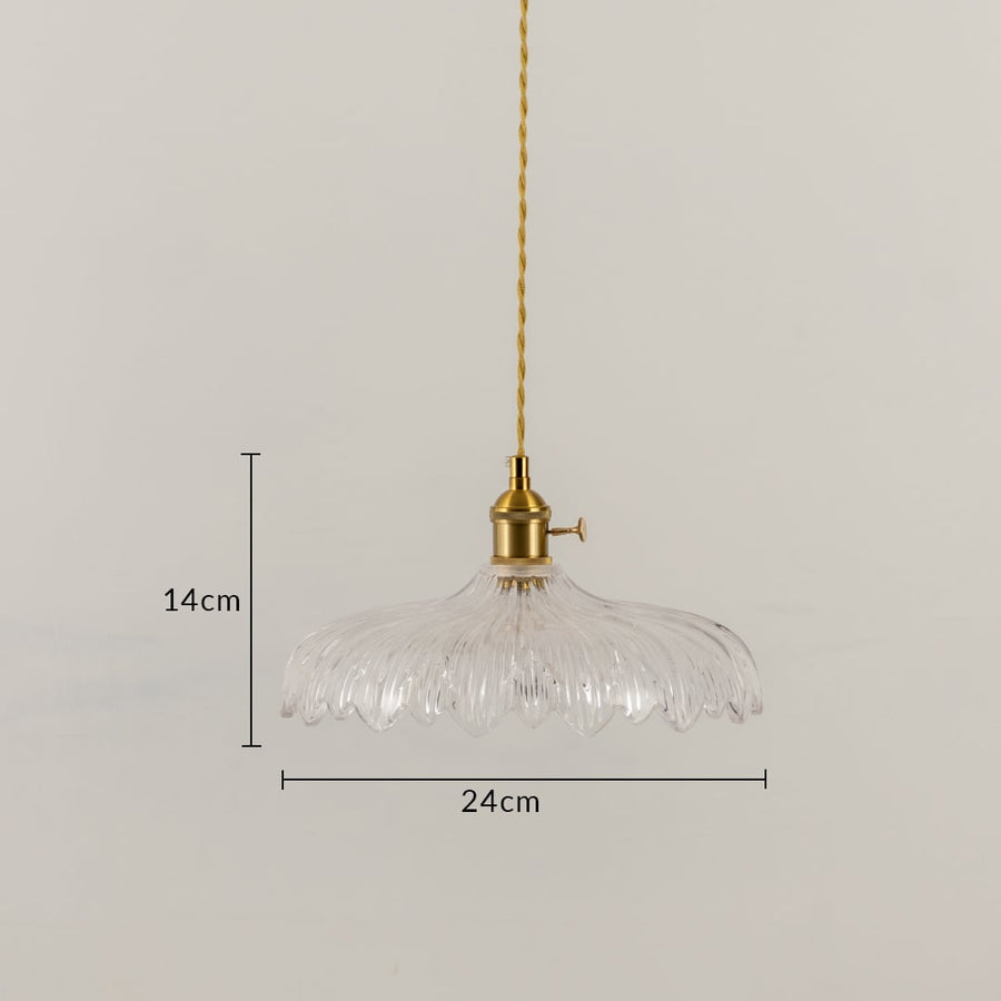 Clear feather glass and brass pendant light dimension image with 24 cm width and 14 cm height for dining room placement.