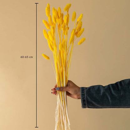 Dimension image showing dried purple statice flower bunch 45-55 cm long ideal for tall vase or living room decor.