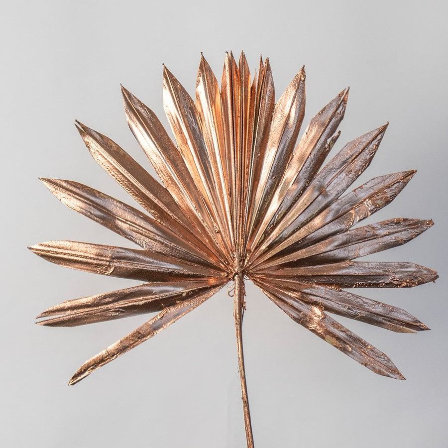 Closeup of copper dried palm leaves showing detailed ridges and metallic finish perfect for contemporary home styling.