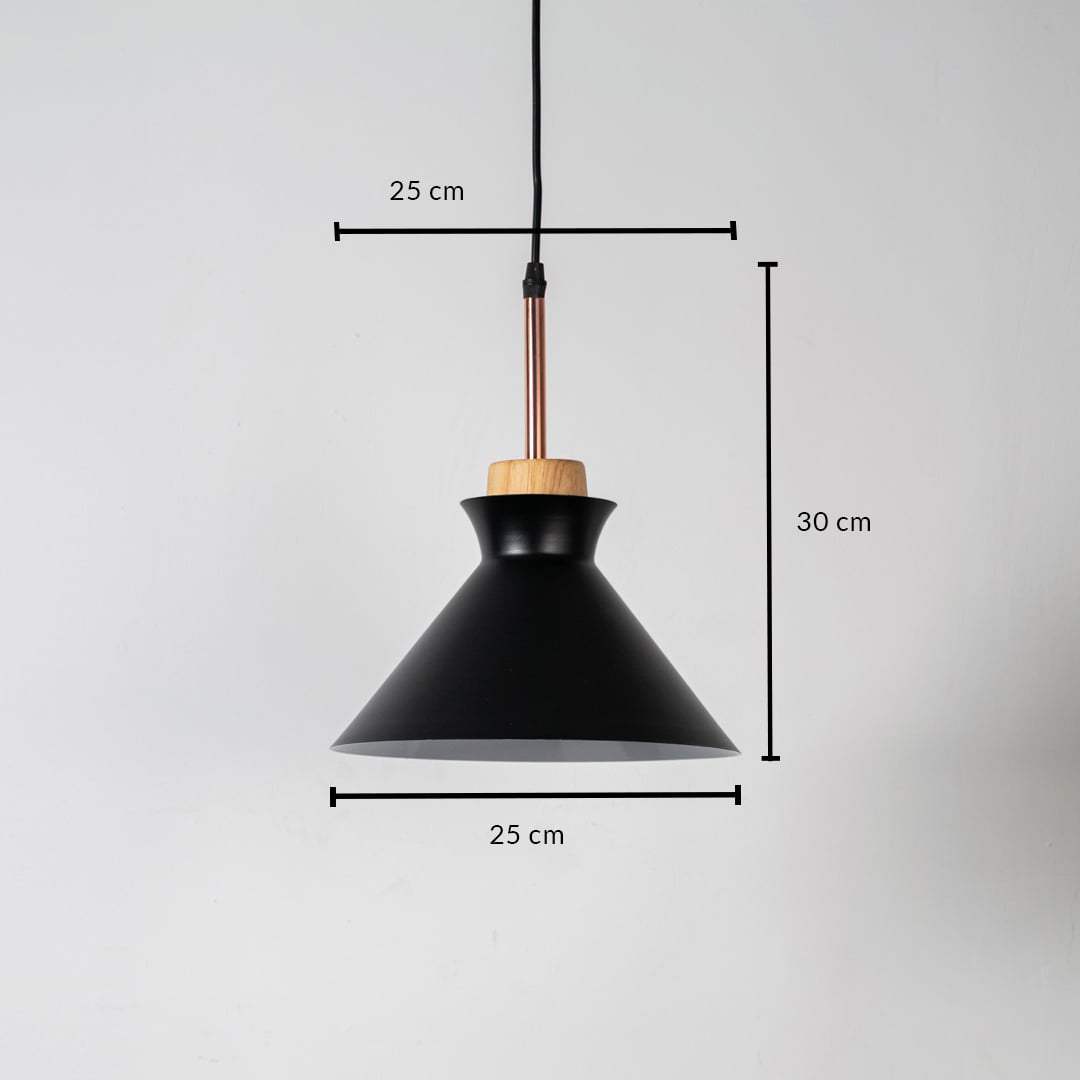 Black metal pendant light measuring 25 cm width and 31 cm height crafted for stylish ceiling lighting decor.