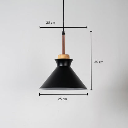 Black metal pendant light measuring 25 cm width and 31 cm height crafted for stylish ceiling lighting decor.