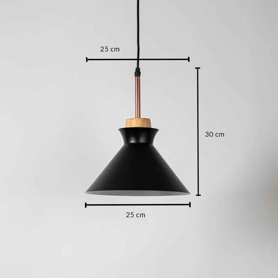 Black metal pendant light measuring 25 cm width and 31 cm height crafted for stylish ceiling lighting decor.