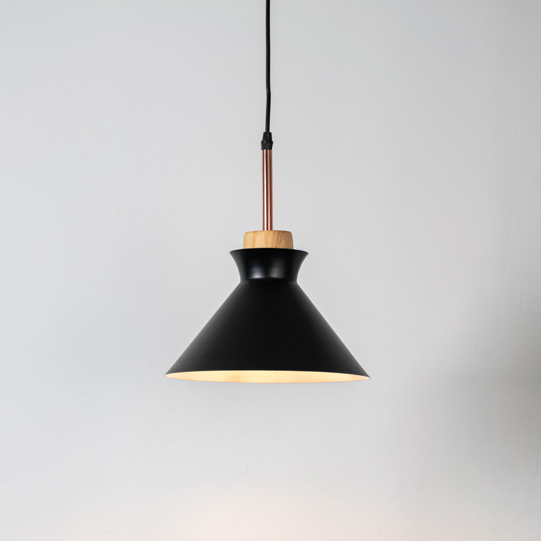 Black metal pendant light with natural wood accents and minimalist dome design for contemporary ceiling lighting decor.