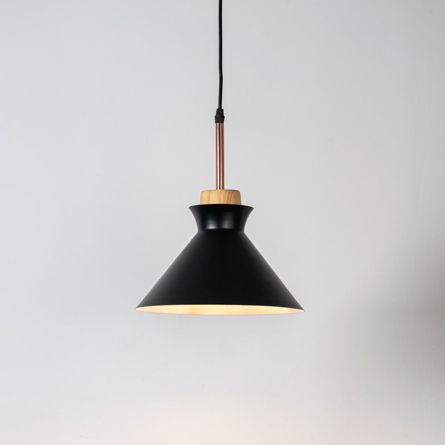 Black metal pendant light with natural wood accents and minimalist dome design for contemporary ceiling lighting decor.