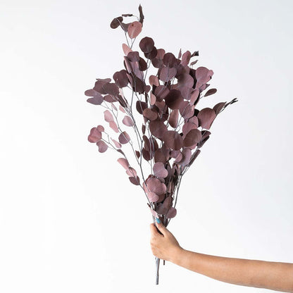 Hand holding a bunch of purple dried eucalyptus leaves for elegant home decor on white background.