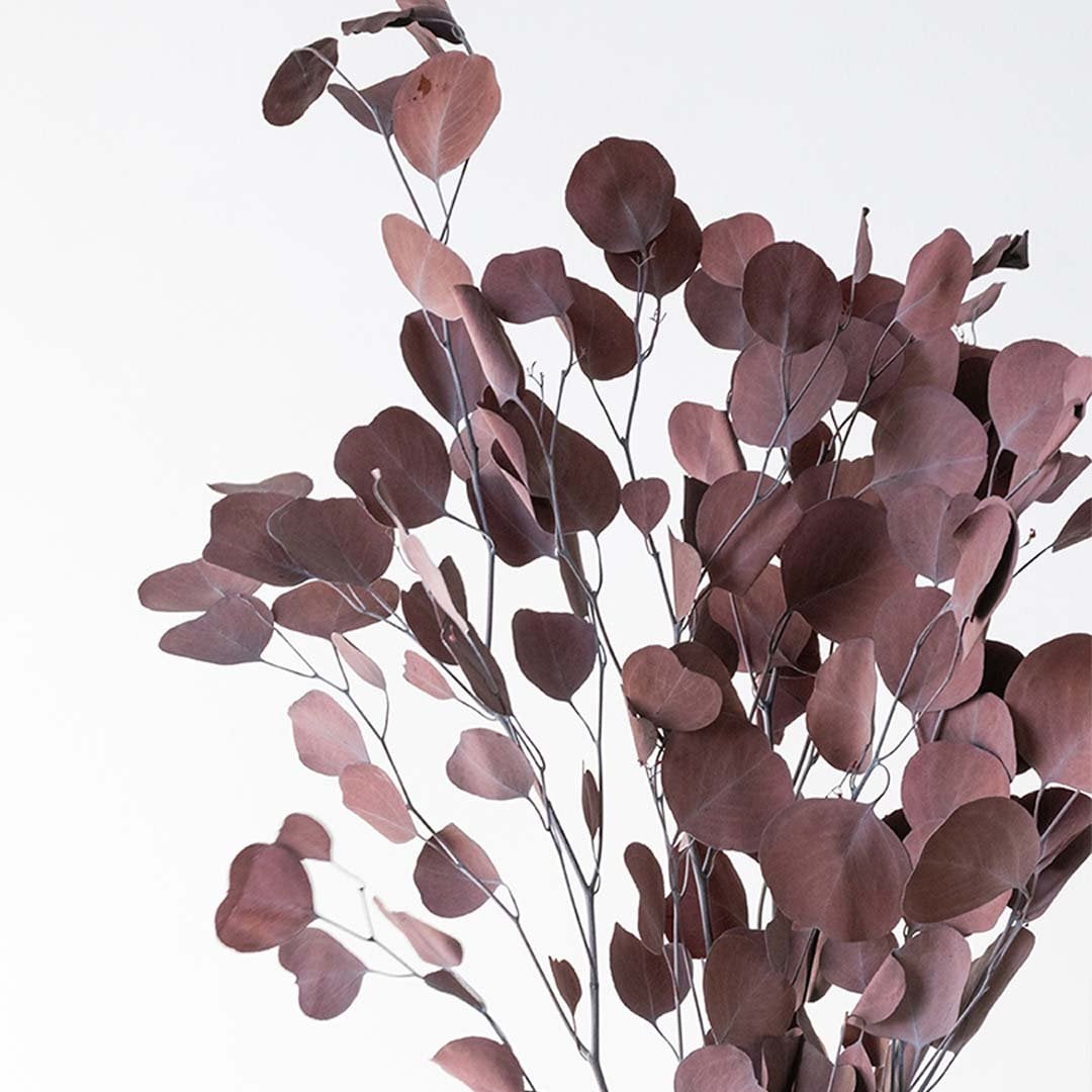 Closeup of deep red dried eucalyptus leaves showing detailed rounded texture perfect for rich organic home decor.