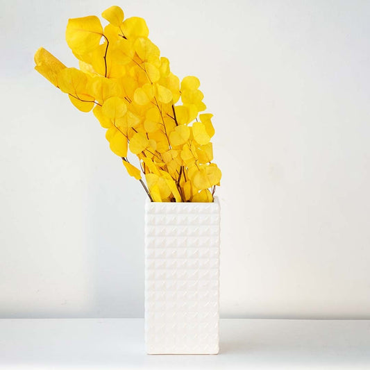 Bright yellow dried eucalyptus stems displayed on a clean white background ideal for bold natural home decor styling.