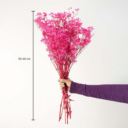 Pink dried gypsophila bouquet preserved flowers 50-60 cm lifestyle display shown with size on white background.