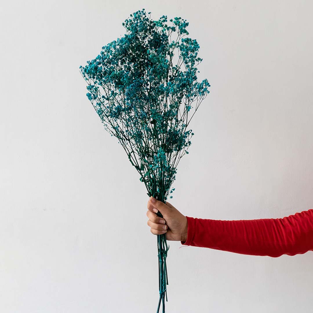 Hand holding a teal blue dried babys breath flower bouquet bundle for elegant luxury bathroom shelf decoration on white backdrop.