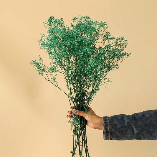 Hand holding green dried baby breath wildflower bouquet bundle for fresh modern bohemian tabletop vase on beige backdrop.