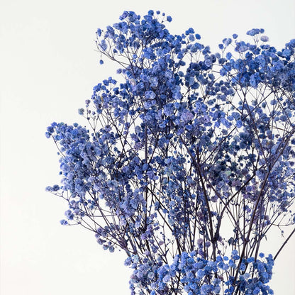 Closeup of a lush royal blue dyed dried babys breath flower bouquet mix for luxury modern tabletop vase decor background.