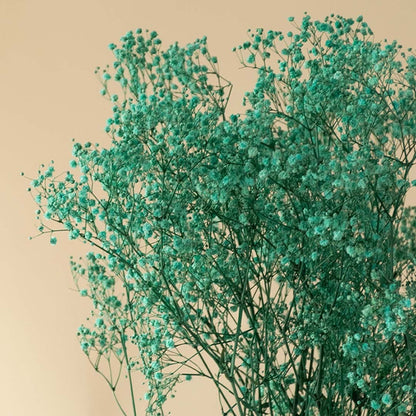 Closeup of green dried gypsophila bouquet showing delicate tiny blooms ideal for aesthetic vase styling and gifting.