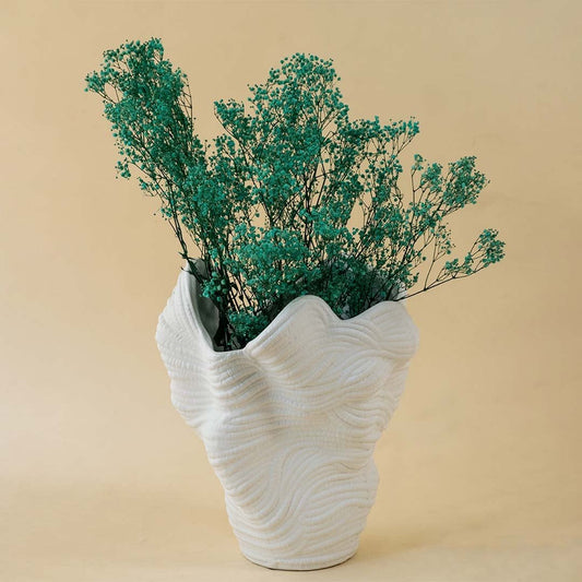 Green dried gypsophila flower bunch for vase decor on white background adds natural charm to modern living spaces.