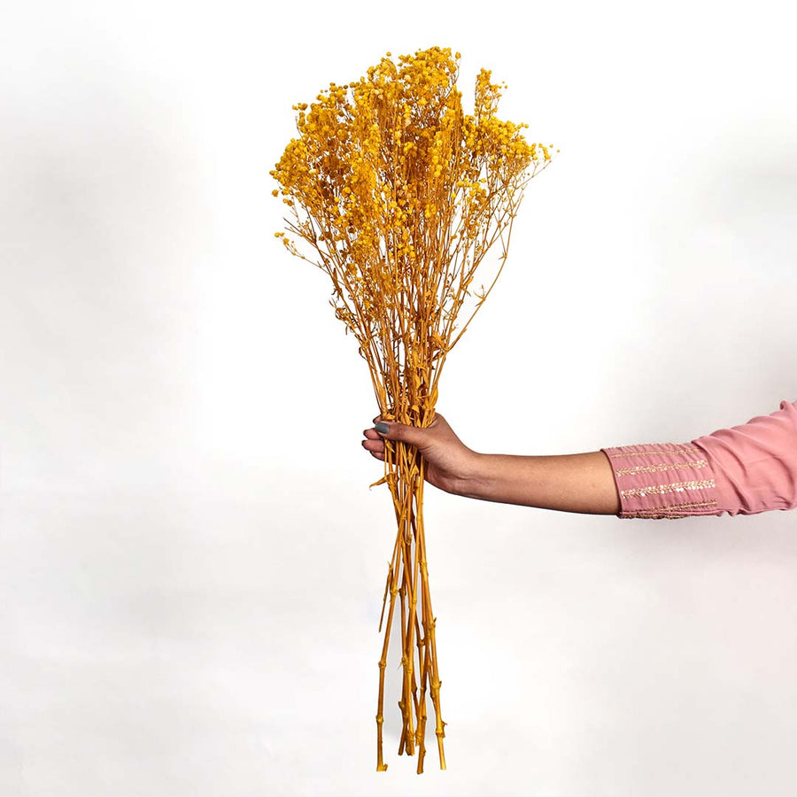 Elegant yellow dried gypsophila flower bunch placed in simple ceramic vase against clean white background display.