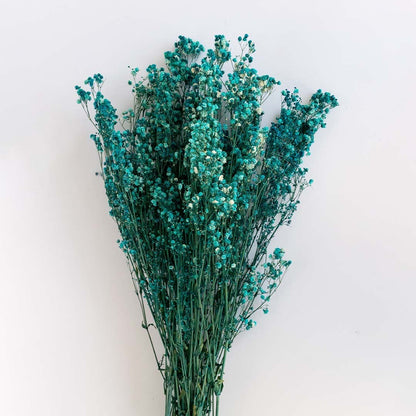 Detailed view of turquoise dried gypsophila flowers with delicate blooms on white background elegant floral decoration.