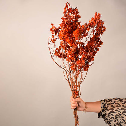 Natural dried orange botanical stems displayed on a clean white background showing their textured branches and vibrant color ideal for rustic vase decor.
