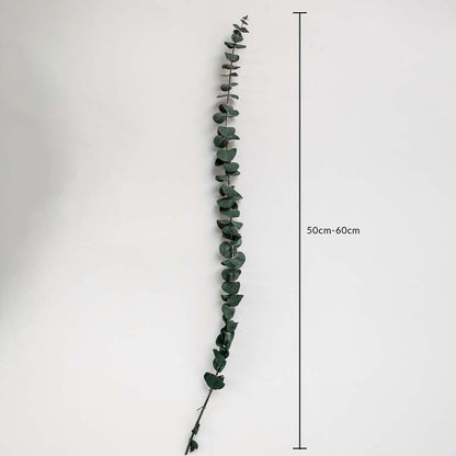 Preserved Eucalyptus Grass Dimension