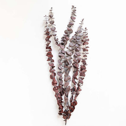 Frosted purple dried eucalyptus stems bundle isolated on white background for seasonal floral vase decor.