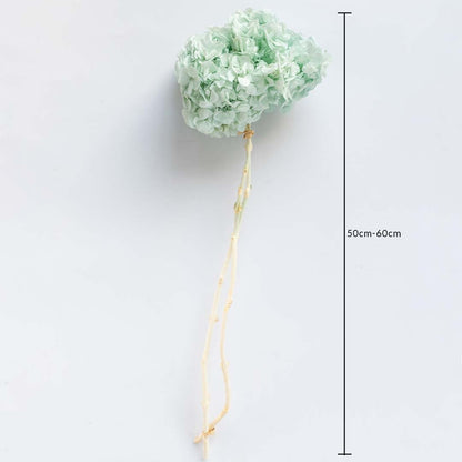 Mint green dried hydrangea stem on a white background with 50 to 60cm height shown for natural decorative home use.