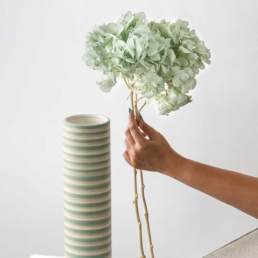 Hand placing mint green preserved hydrangea stems into a striped ceramic vase for elegant home decor on white background.