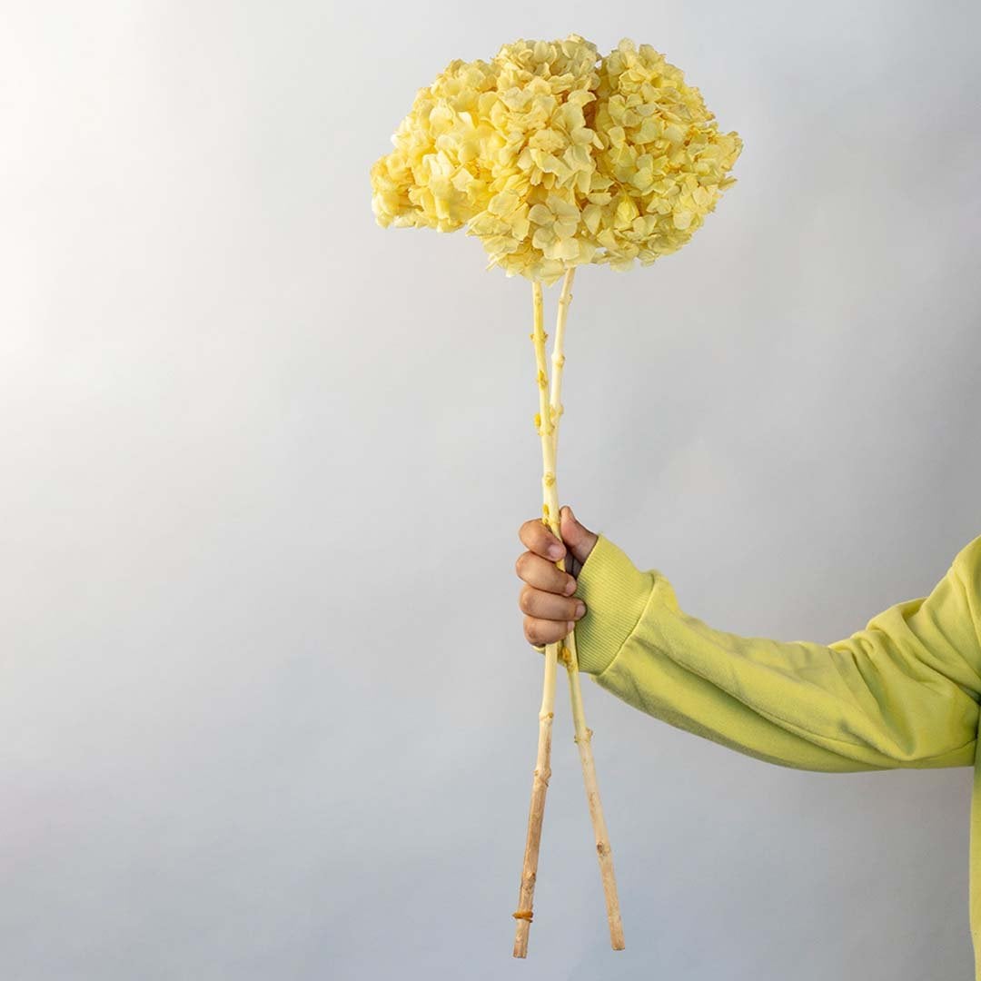 Artificial hydrangea flower stem in bright yellow with natural wood stick ideal for home decor vase arrangement and gifting.