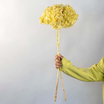 Artificial hydrangea flower stem in bright yellow with natural wood stick ideal for home decor vase arrangement and gifting.
