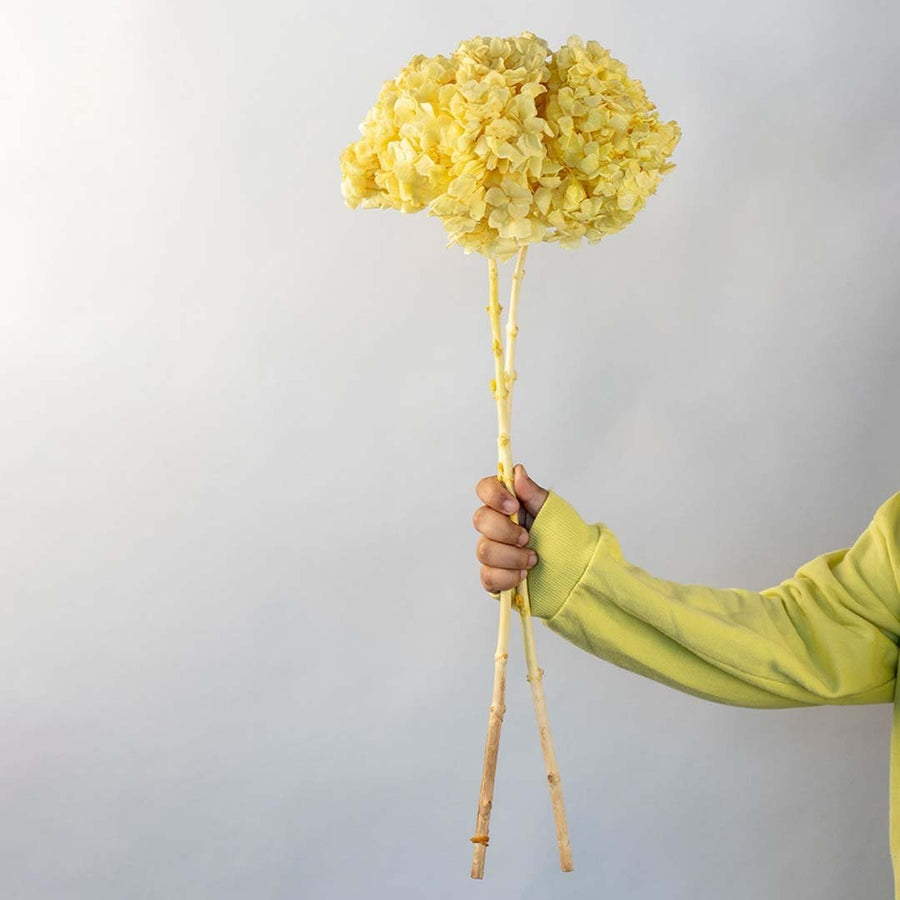 Artificial hydrangea flower stem in bright yellow with natural wood stick ideal for home decor vase arrangement and gifting.