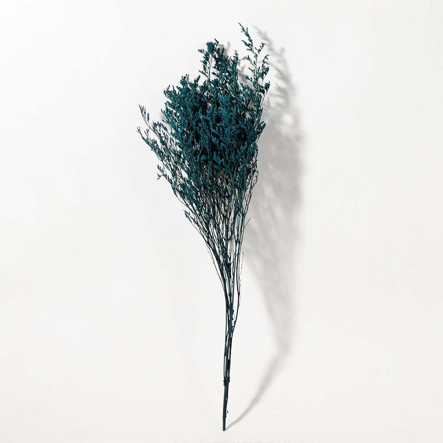 Decorative preserved teal limonium foliage bunch with long stems designed for vase styling floral arrangements and home decor.