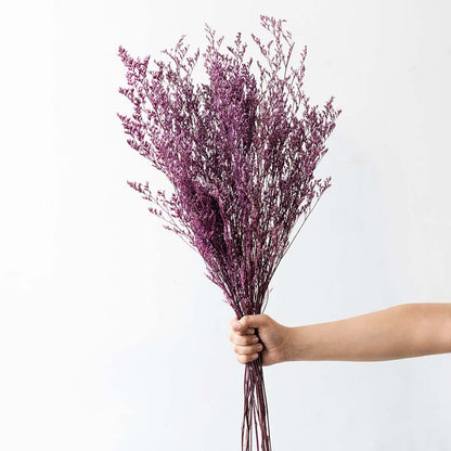 Hand holding a purple dried caspia wildflower bouquet bundle for elegant bohemian living room vase styling on white backdrop.