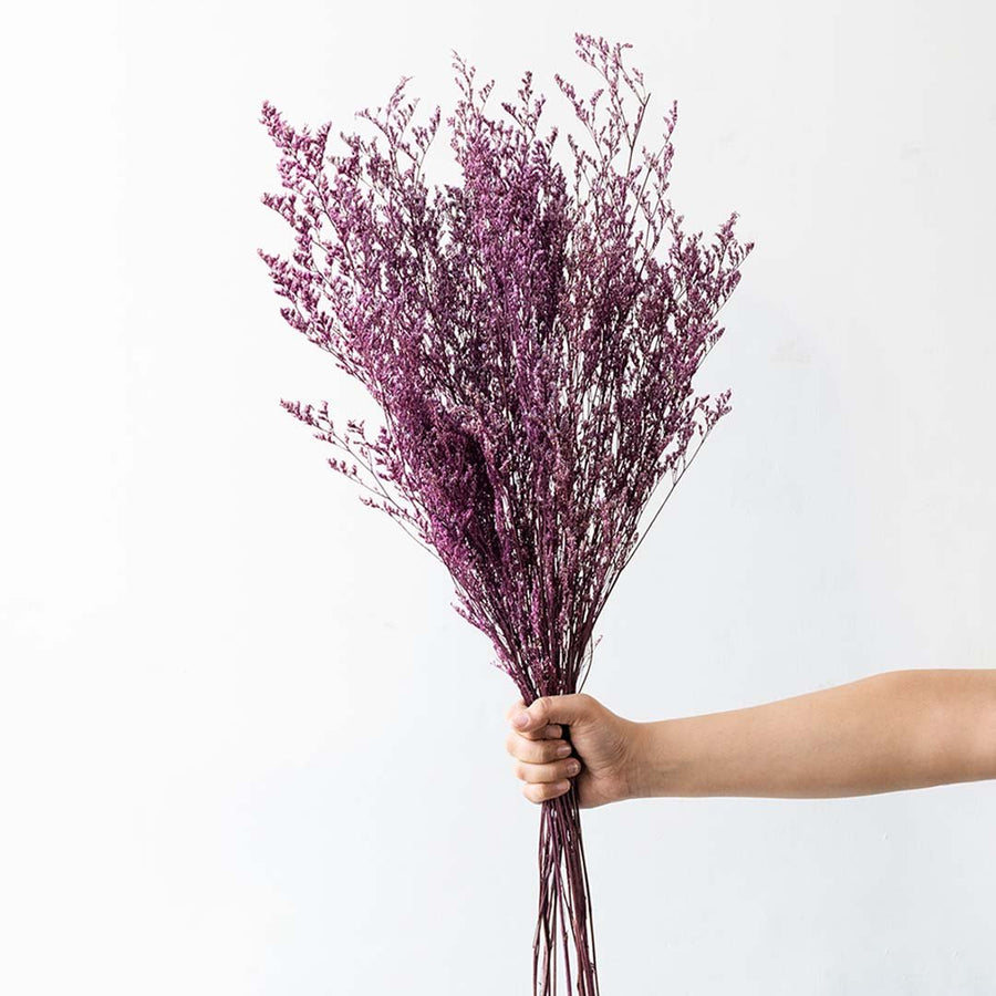 Hand holding a purple dried caspia wildflower bouquet bundle for elegant bohemian living room vase styling on white backdrop.