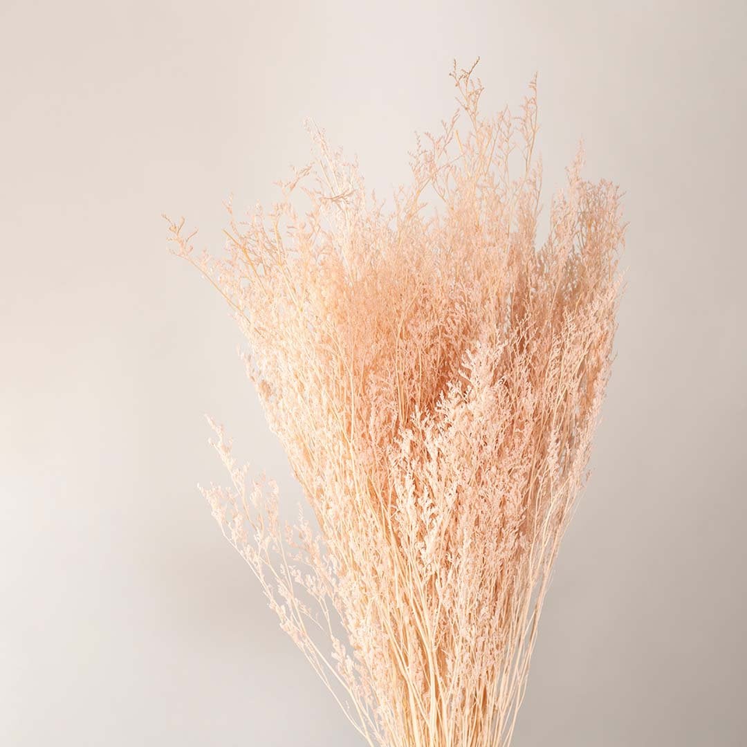 Closeup of natural peach dried grass stems highlighting delicate feathery texture and soft airy details perfect for rustic vase decor and warm interior styling.