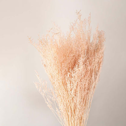 Closeup of natural peach dried grass stems highlighting delicate feathery texture and soft airy details perfect for rustic vase decor and warm interior styling.