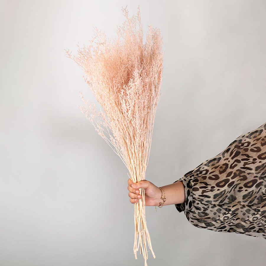 Hand holding a fluffy light pink dried reed grass bouquet bundle for charming modern dopamine decor styling on white backdrop.