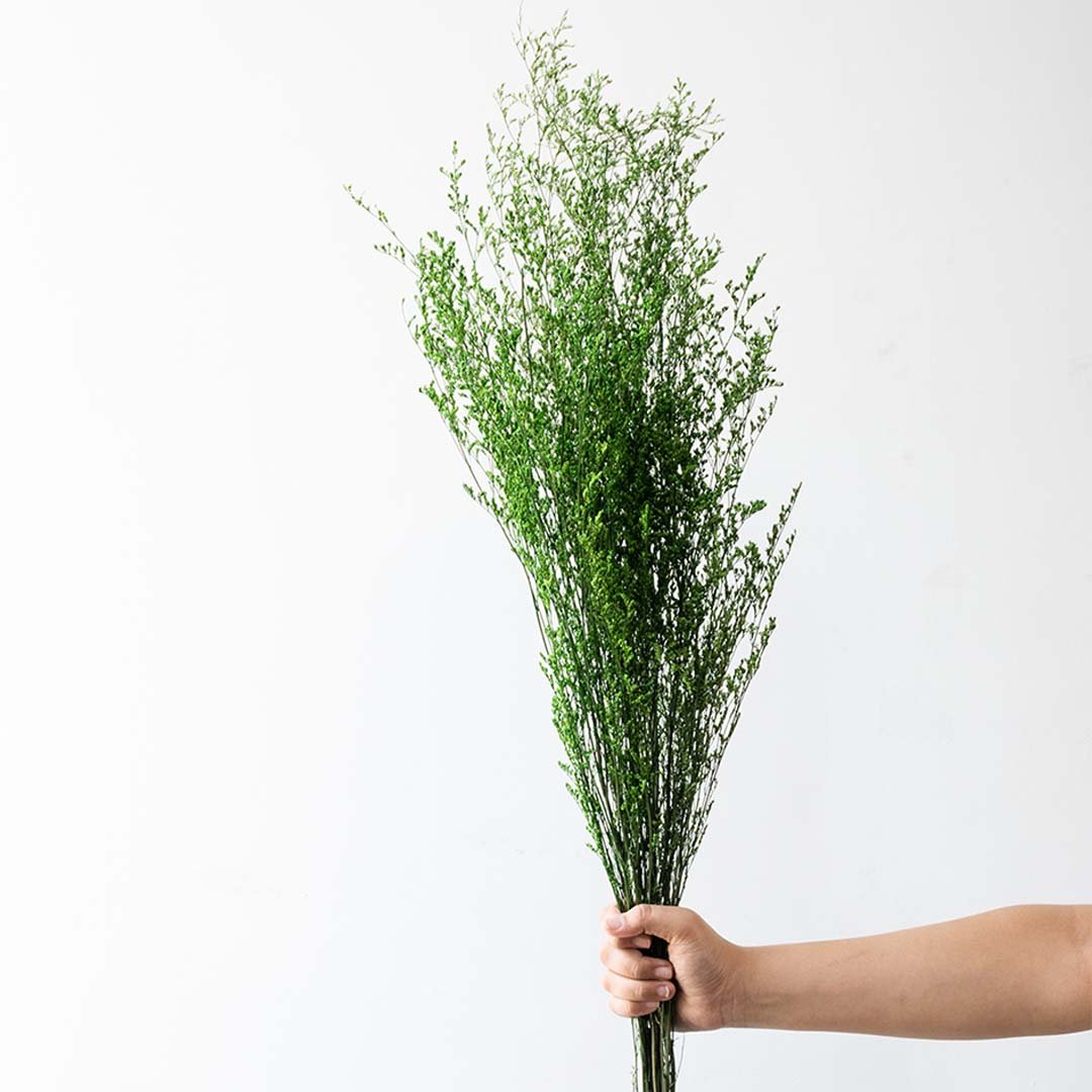 Hand holding a bright green dried caspia wildflower bouquet bundle for rustic kitchen tabletop vase decor on white backdrop.