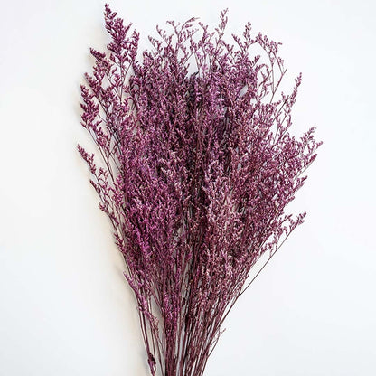 Detailed closeup of purple dried foliage stems with delicate texture shown on white background decorative floral piece.