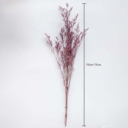 Purple dried foliage stem 70-75cm length displayed on white background for size dimension natural dried floral decor.