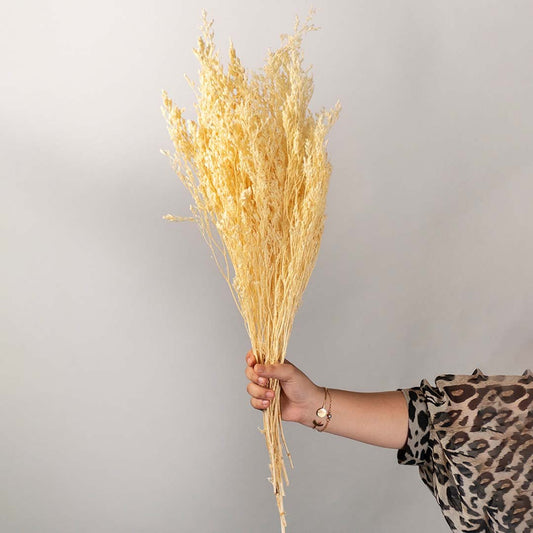 Hand holding bright yellow dried ornamental grass stalks bouquet bundle for vibrant dopamine decor on white backdrop.