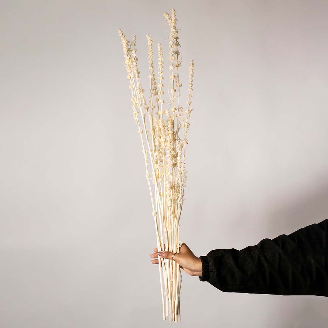 Hand holding a bundle of cream white handmade shaved wood spiral stems for minimalist bohemian room decor on white backdrop.