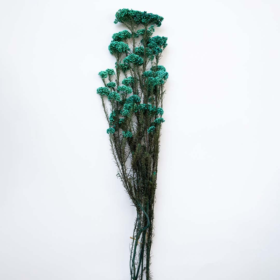 Minimal green dried statice flower stems arranged in unique patterned white ceramic vase on clean white background.