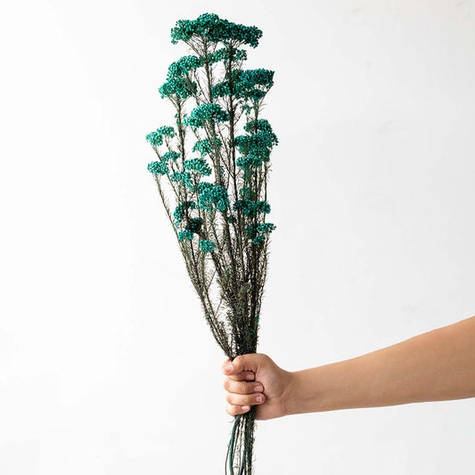 Hand holding a bundle of teal blue dried button flower stems for elegant bohemian tabletop vase decor on white backdrop.