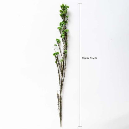 Green dried statice flower stem 40-50cm length displayed on white background for size dimension dried floral decor.