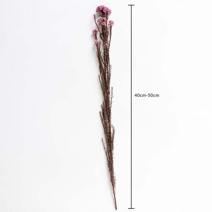 Purple dried statice flower stem 40-50cm length displayed on white background for size dimension dried floral decor.