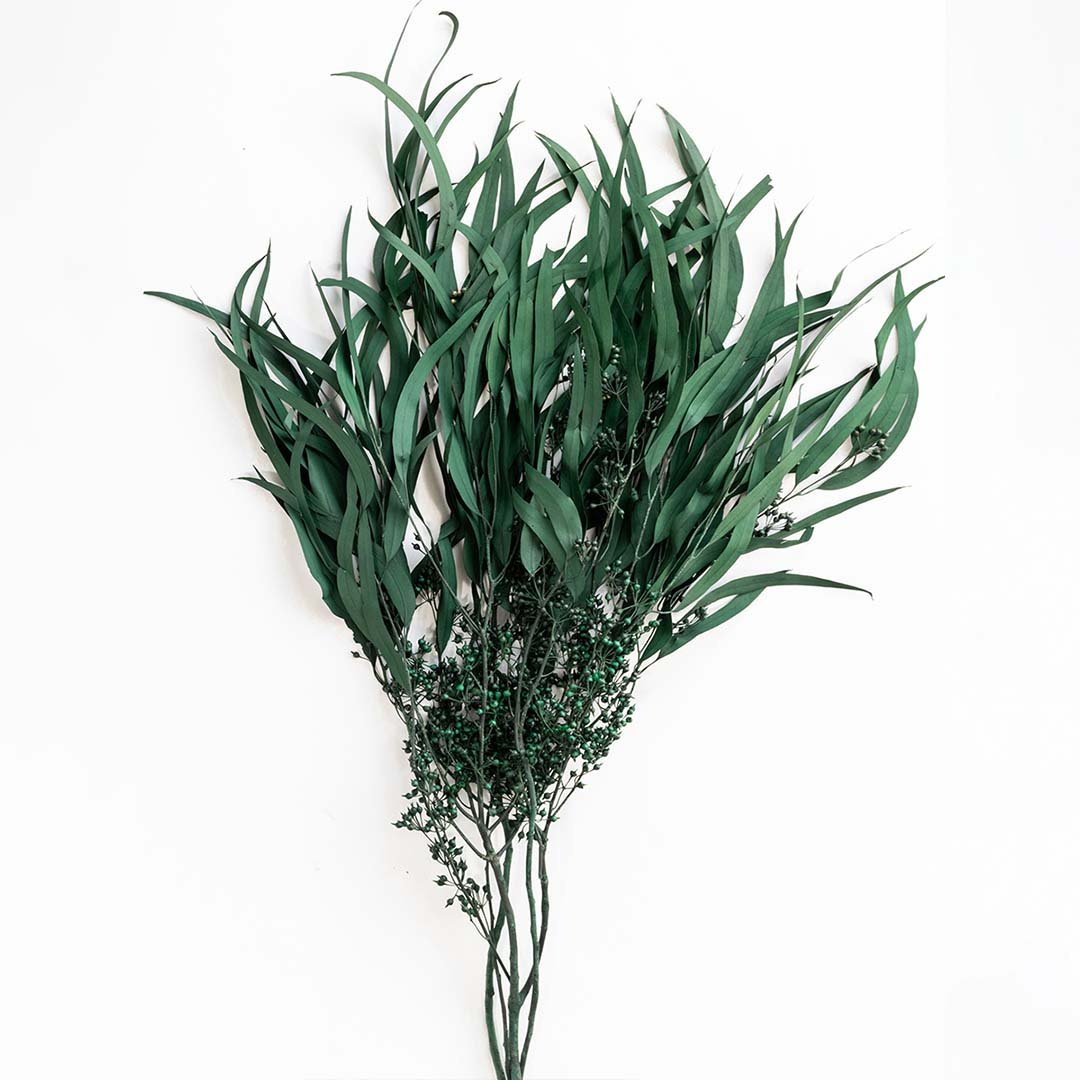 Preserved Weeping Willow Seeded Eucalyptus