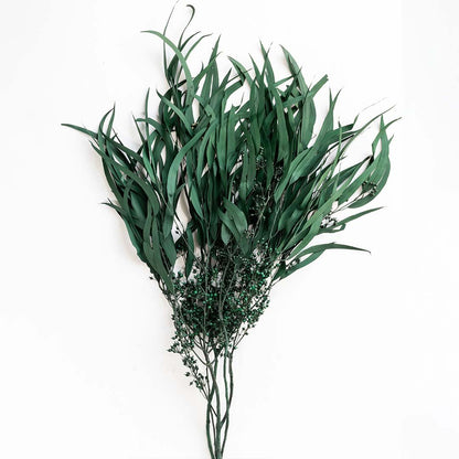 Preserved Weeping Willow Seeded Eucalyptus