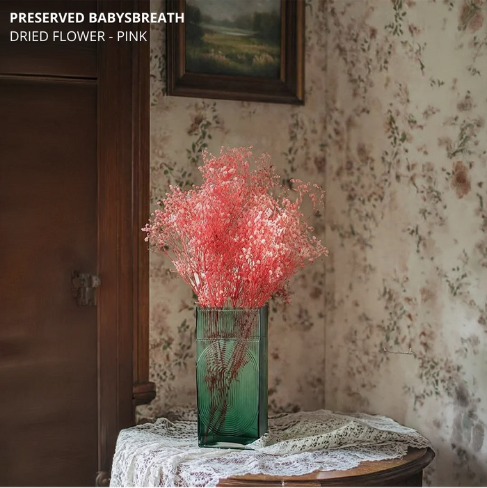 Preserved Babysbreath Dried Flower - Pink