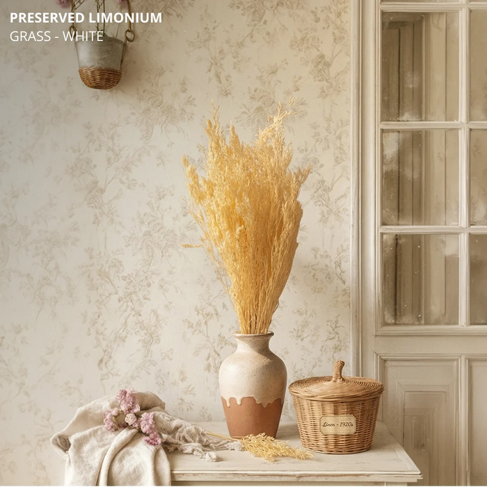 Preserved Limonium Grass - White