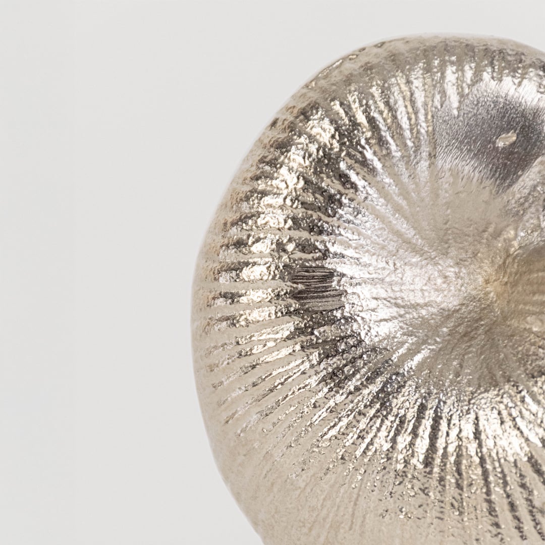 Closeup view of the silver nautilus shell bowl showing its detailed ridged texture and elegant curved form