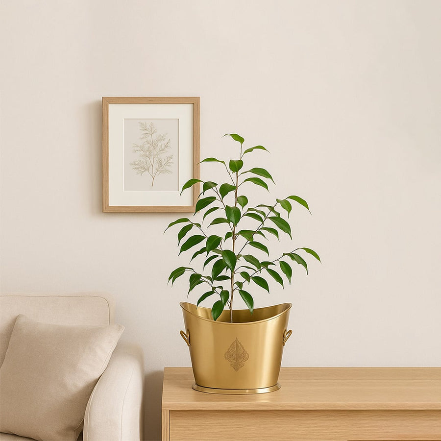 A gold planter bucket holding a green plant displayed on a wooden side table next to a beige sofa in a bright and cozy home interior lifestyle scene.