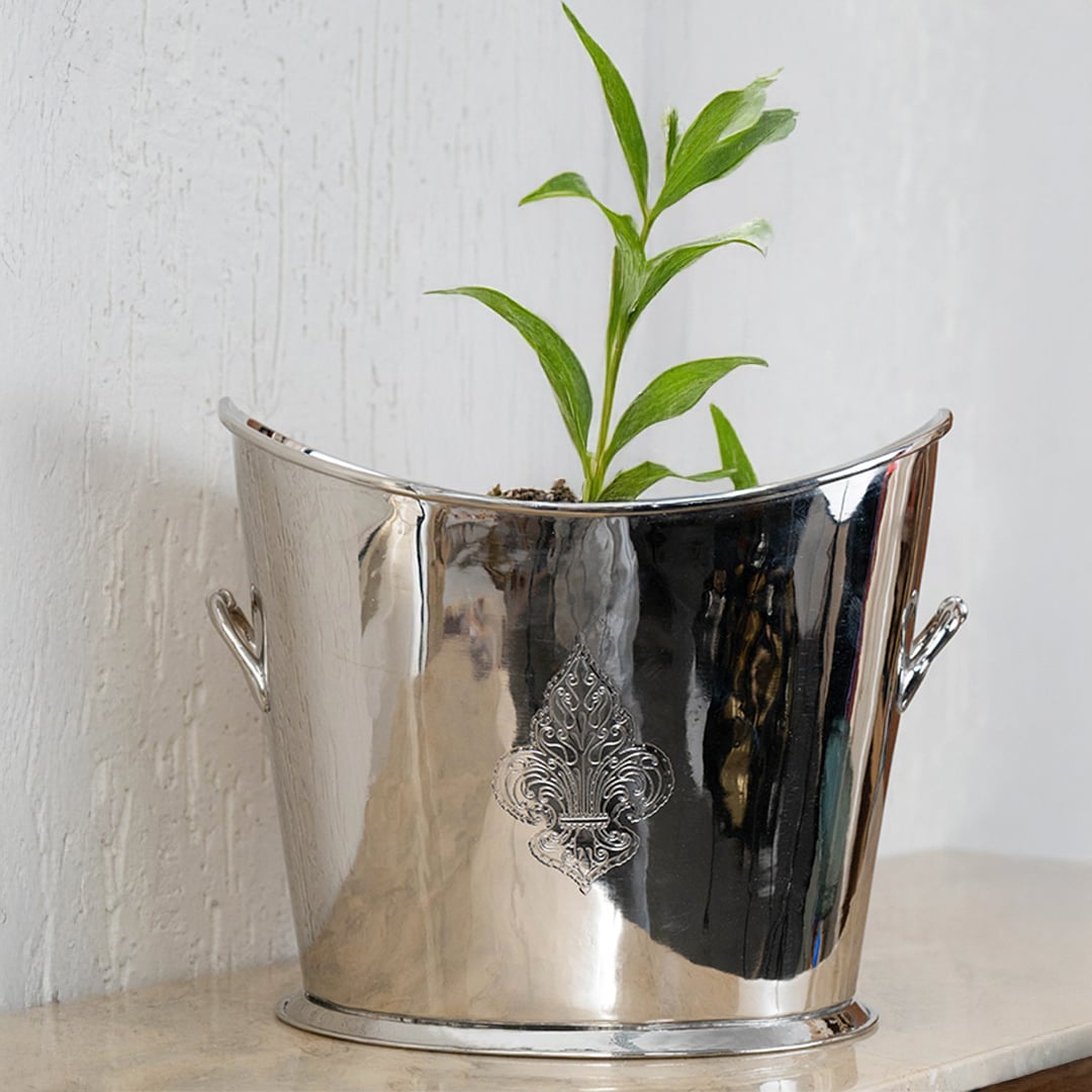 Gold brass decorative planter with handles shown inside elegant black gift box for premium presentation.