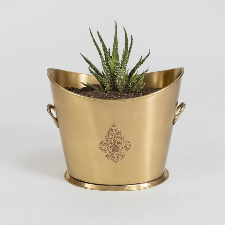 Gold metal decorative planter with twin side handles and embossed pattern on plain white background display.